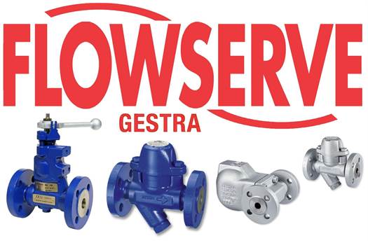 Flowserve Gestra NRR 2-52 (3031241) Niveauregler